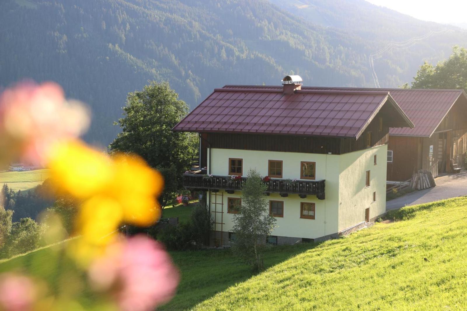 Molteraugut Lägenhet Mühlbach am Hochkönig Exteriör bild