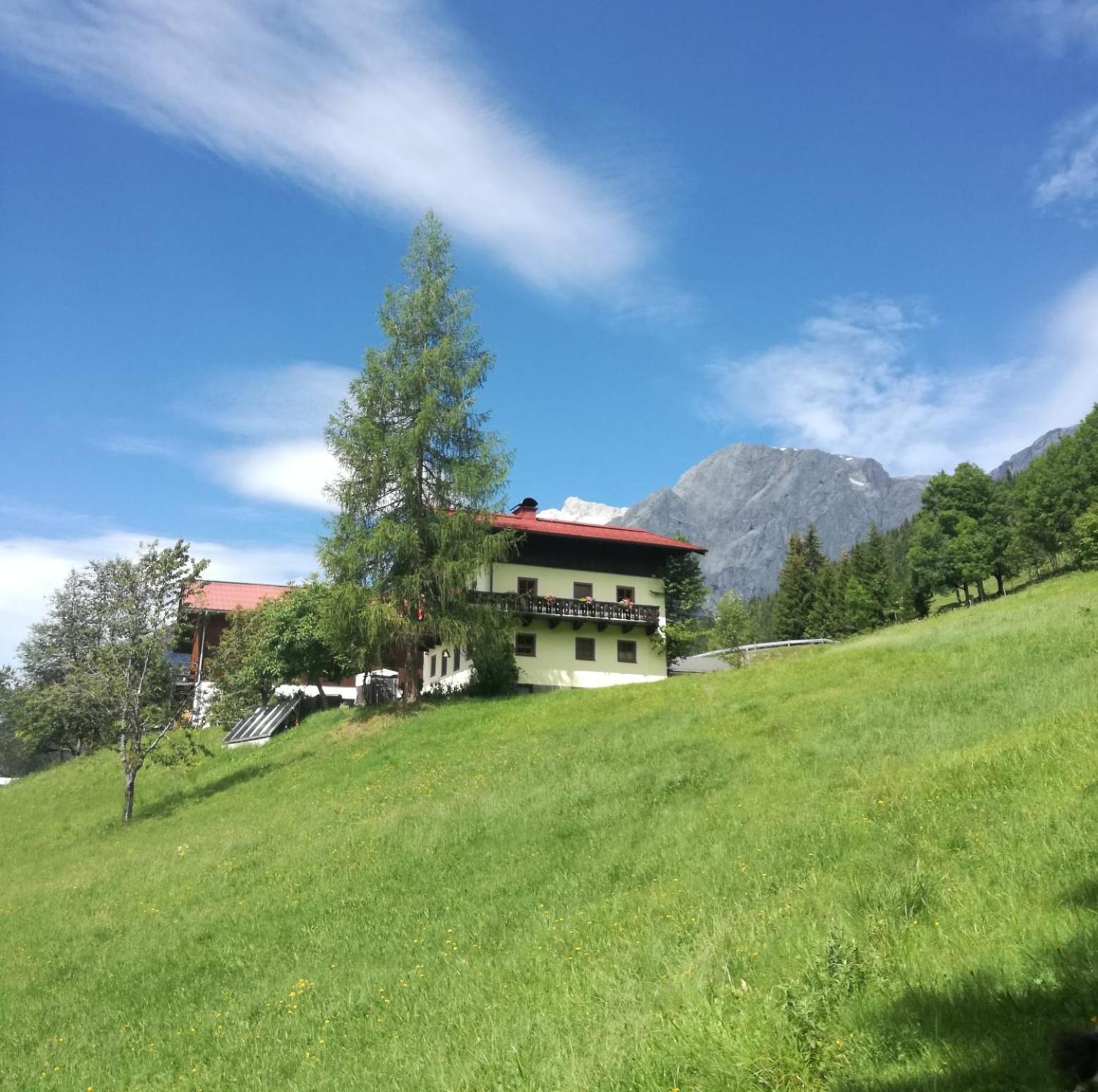Molteraugut Lägenhet Mühlbach am Hochkönig Exteriör bild